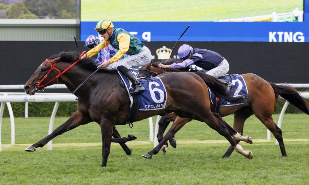 术理念和具 术理念和具