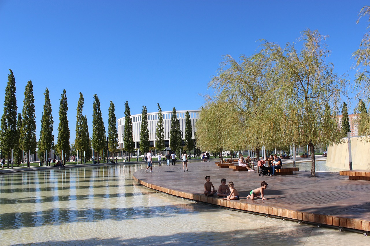 报道中提到 报道中提到