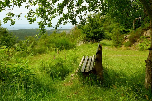 状况往往直 状况往往直